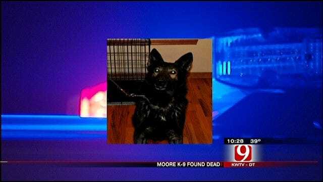 Moore Police Investigate Death Of K-9 Dog