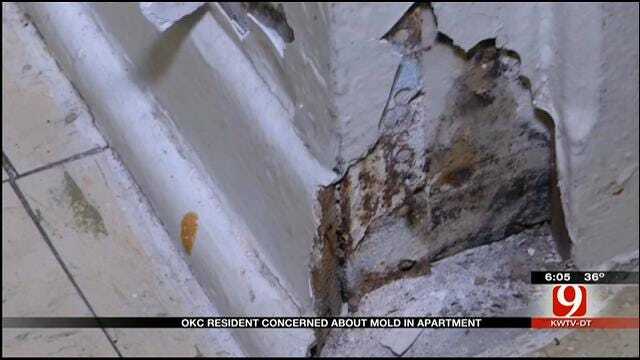 OKC Resident Concerned About Mold In Apartment
