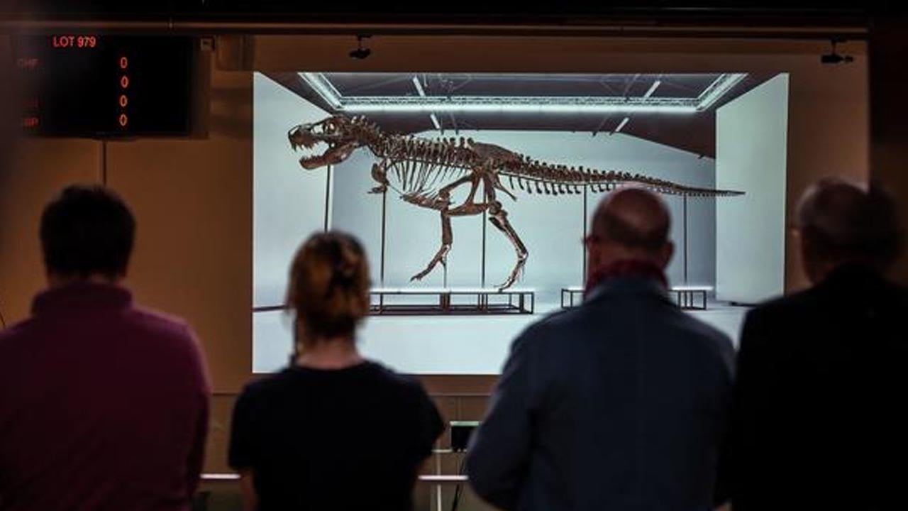 T. Rex Skeleton Dubbed 'Trinity' Sells For $5.3M At Zurich Auction