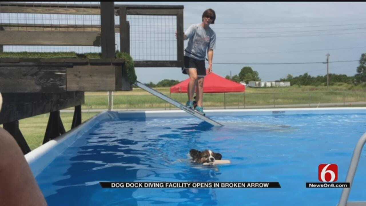 Dog Dock Diving Facility Opens In Broken Arrow