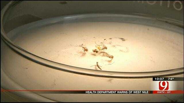 Health Officials: West Nile Could Be Worse This Summer In Oklahoma