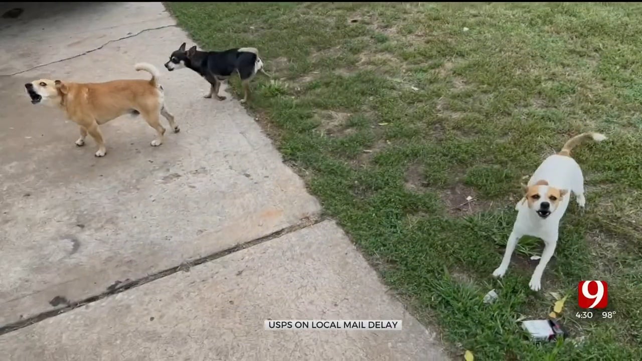 Postal Service Temporarily Stops Mail Delivery Due To Loose Dogs In Metro Neighborhood