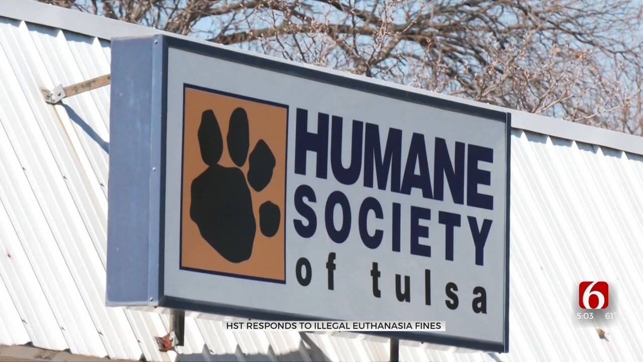 Tulsa Humane Society Responds After Two Leaders Ordered to Pay $5,000 Fines