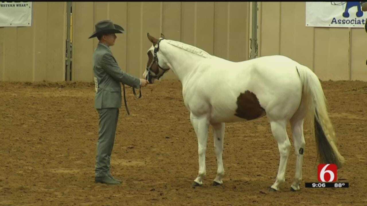 Paint Horse Show Competitors Say Tulsa Is Favorite Stop
