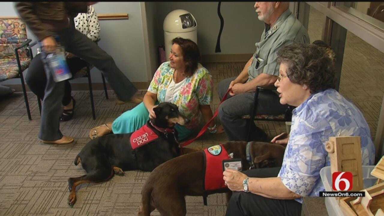 Therapy Dogs Help Children Cope With Courtroom Trauma