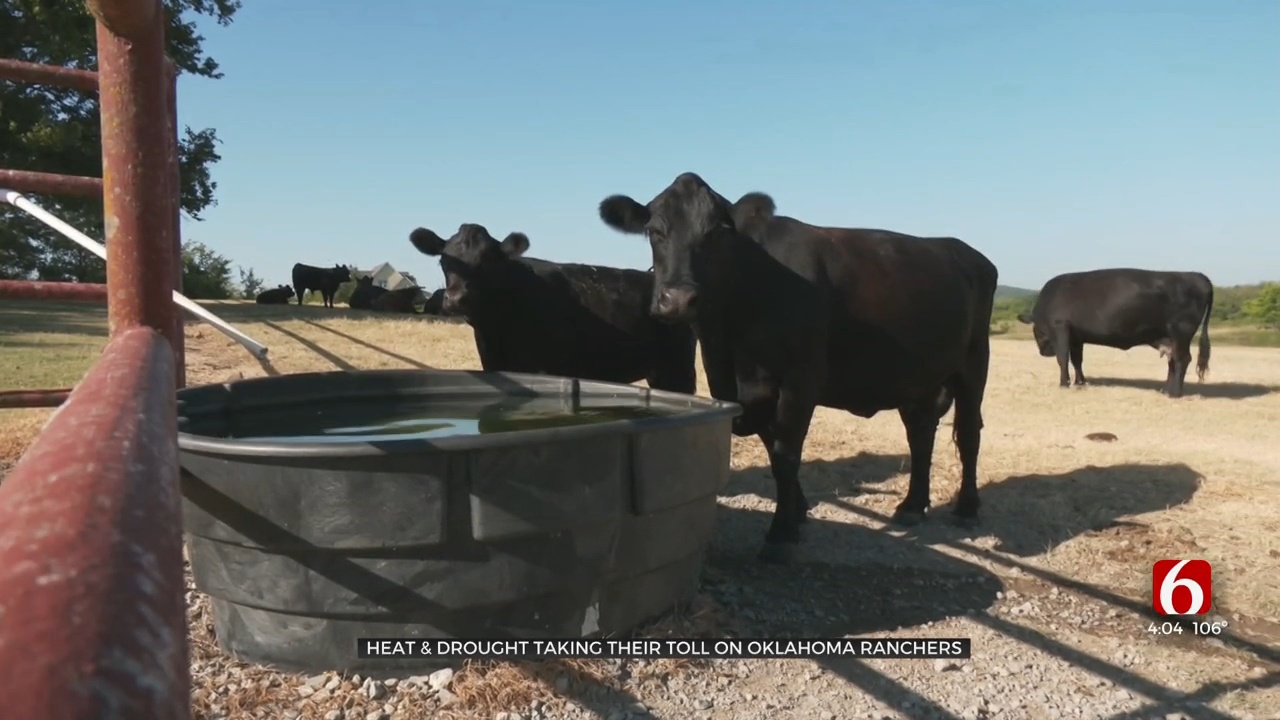 Oklahoma Ranchers Struggle With Hay Shortage Amid Drought