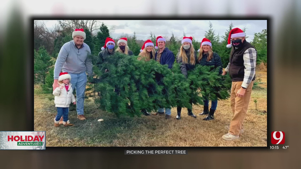 Holiday Adventures: Picking The Perfect Tree 