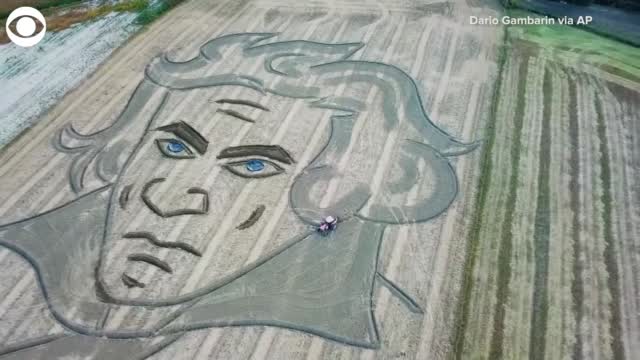 Watch: Portrait Of Beethoven Carved Into Field