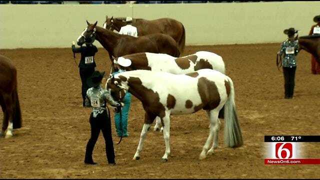 Expo Square Hosting One Of World's Biggest Paint Horse Shows
