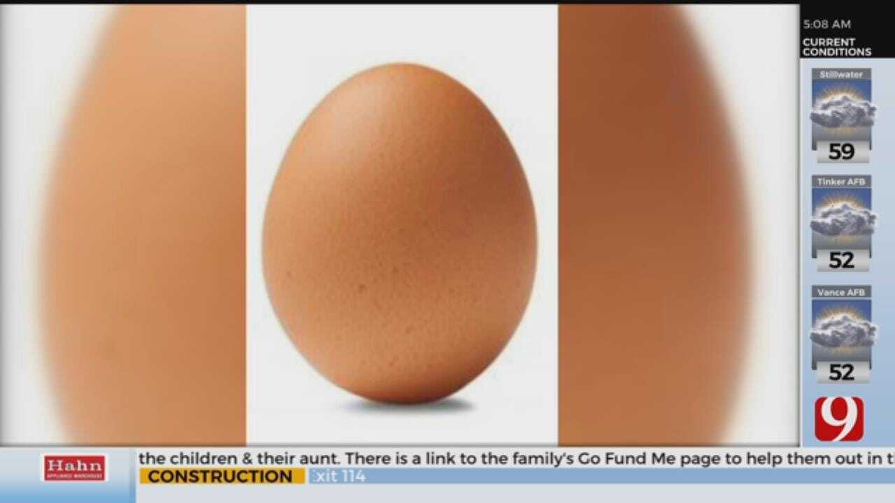 Identify Of Mysterious Instagram Egg Revealed