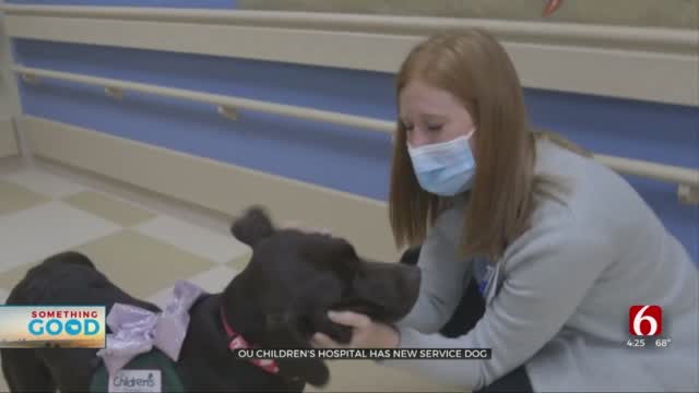 Service Dog Helps Patients At OU's Children's Hospital 