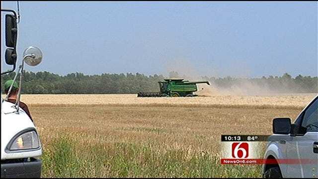 Despite Weather Challenges, Wheat Crop In Northeast Oklahoma 'Good'