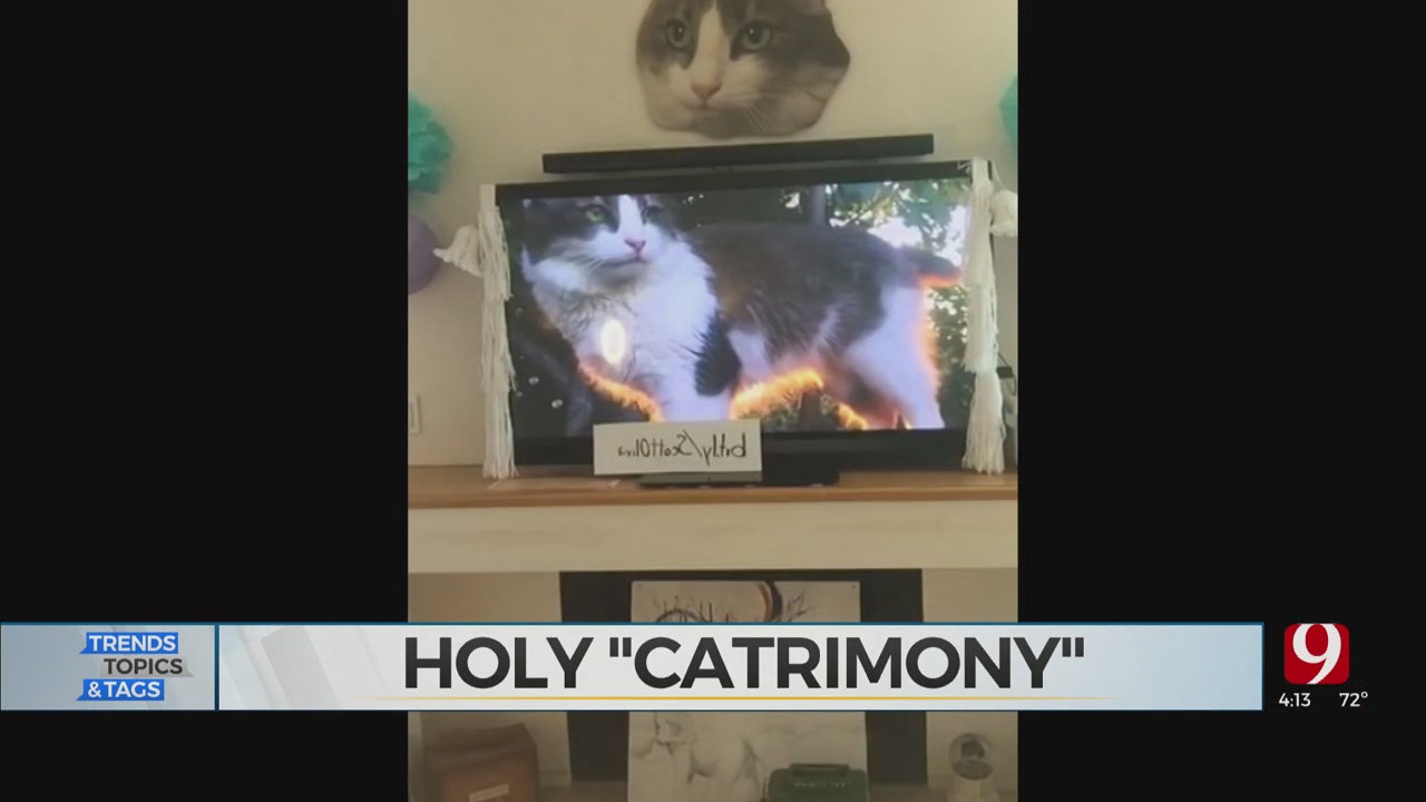 Trends, Topics & Tags: Holy 'Cat-rimony'