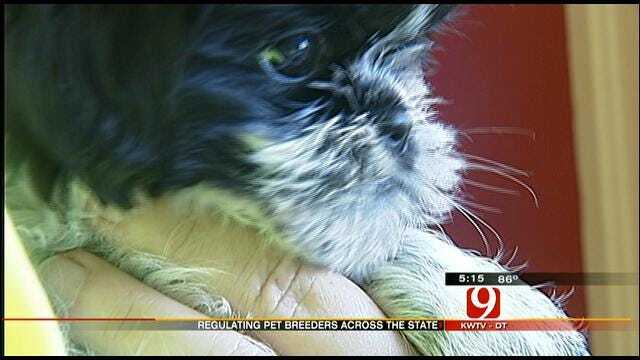OK Department Of Agriculture To Decide How To Regulate Pet Breeders