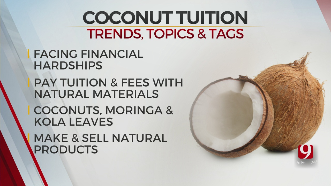 Trends, Topics & Tags: Coconut Tuition