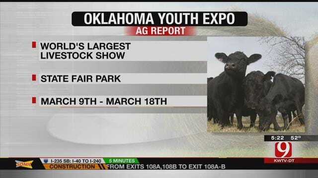 Agriculture Report: World's Largest Livestock Show Coming To Town