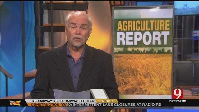 AG REPORT: The National Beef Association Discusses Criticism By Presidenital Canidates
