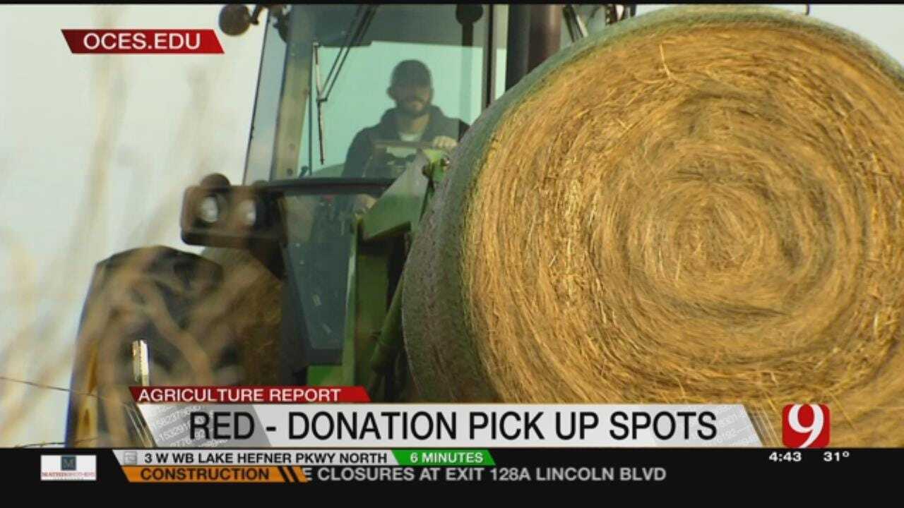 Ag Report: Youth Farmers Donate Hay