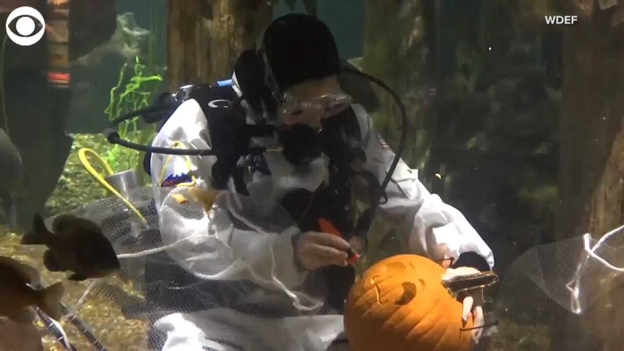 WHOA! 2 Scuba Divers Carve Pumpkins While Underwater