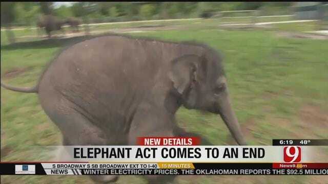 11 Elephants To Retire After Performing Final Show With Circus