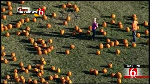 News On 6, Pumpkin Town Team Up For Food For Kids