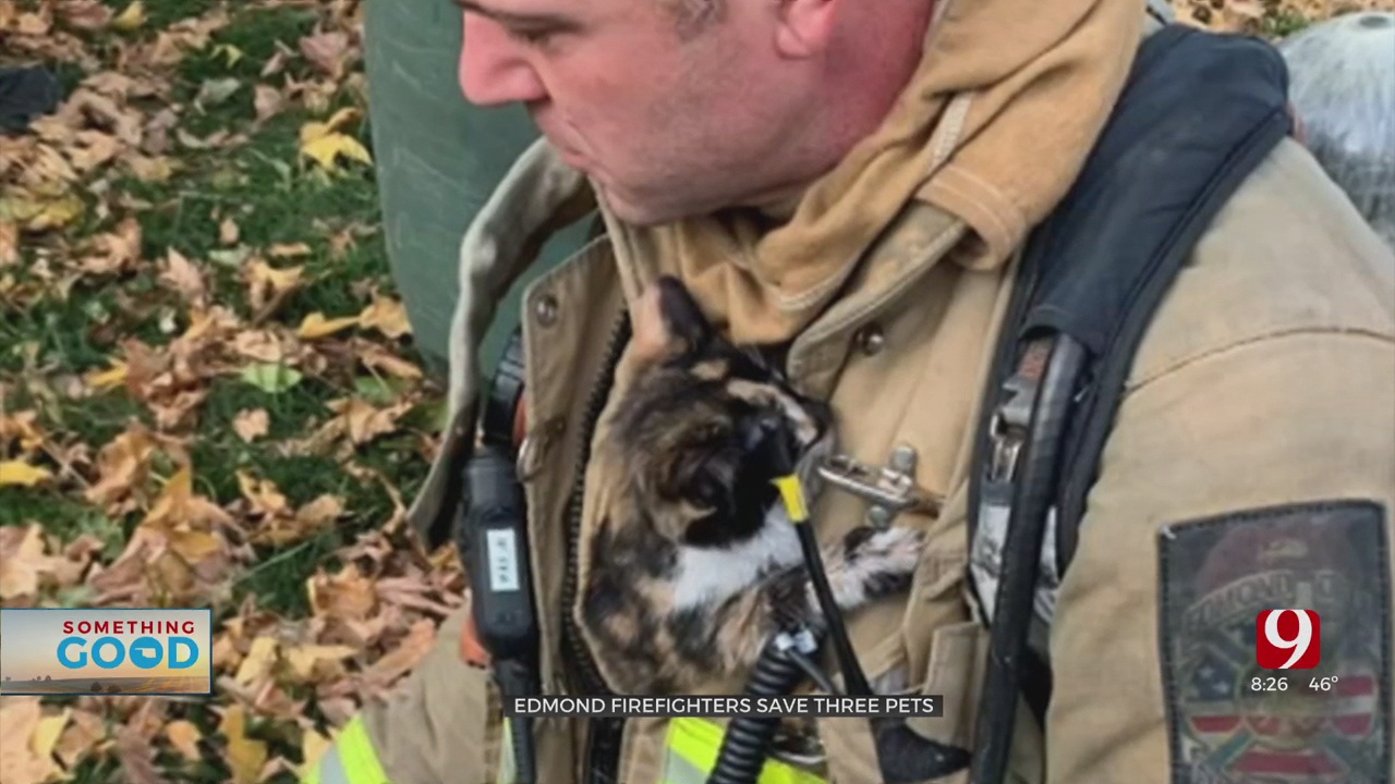 Edmond Firefighters Save 3 Pets From Structure Fire