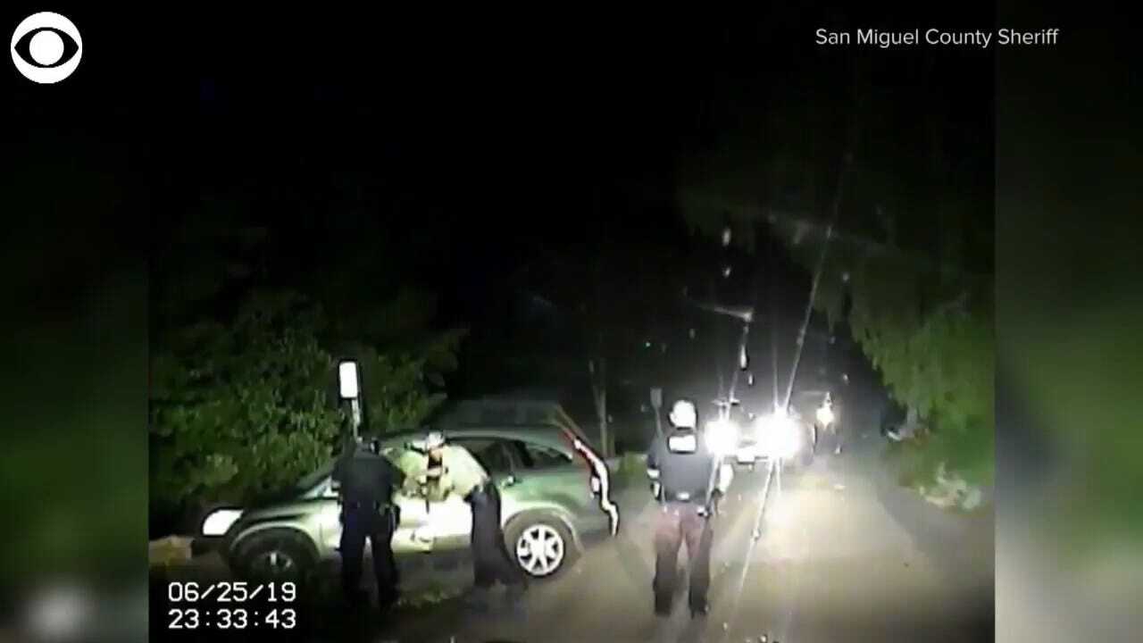 MUST SEE: Deputies Free Bear From Car