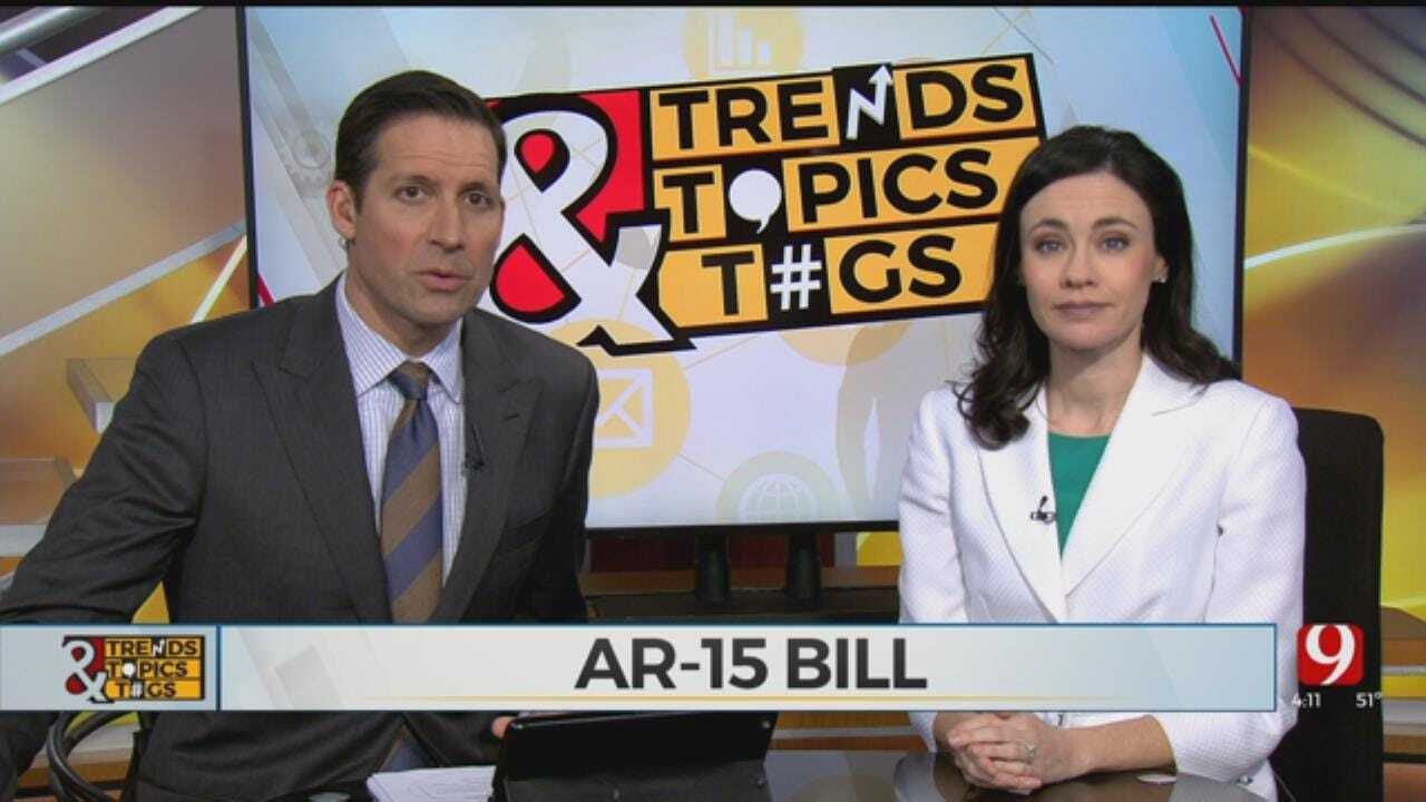Trends, Topics & Tags: Bill Would Require Adults Aged 18-34 Own AR-15