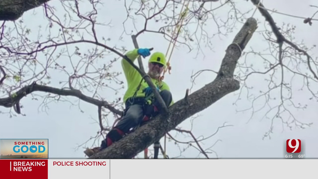 Something Good: Tree Service Company Rooted In Giving Back