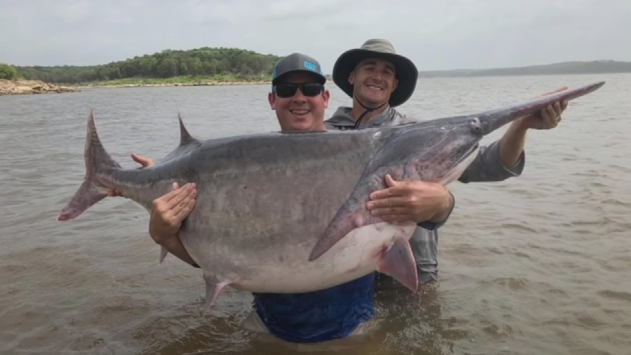 Outdoor Life With Tess: Reeling In Prehistoric Paddlefish