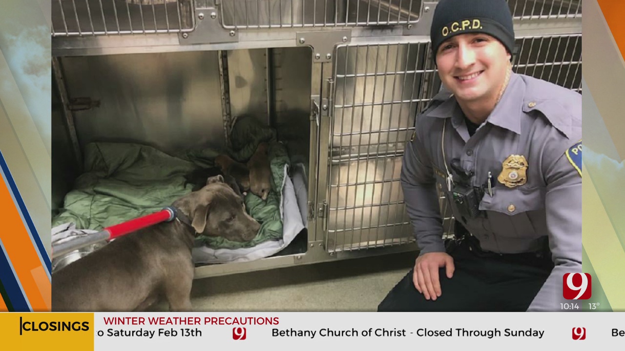 OCPD Officers Rescue Pit Bull, 6 Puppies Abandoned In 18 Degree Weather 
