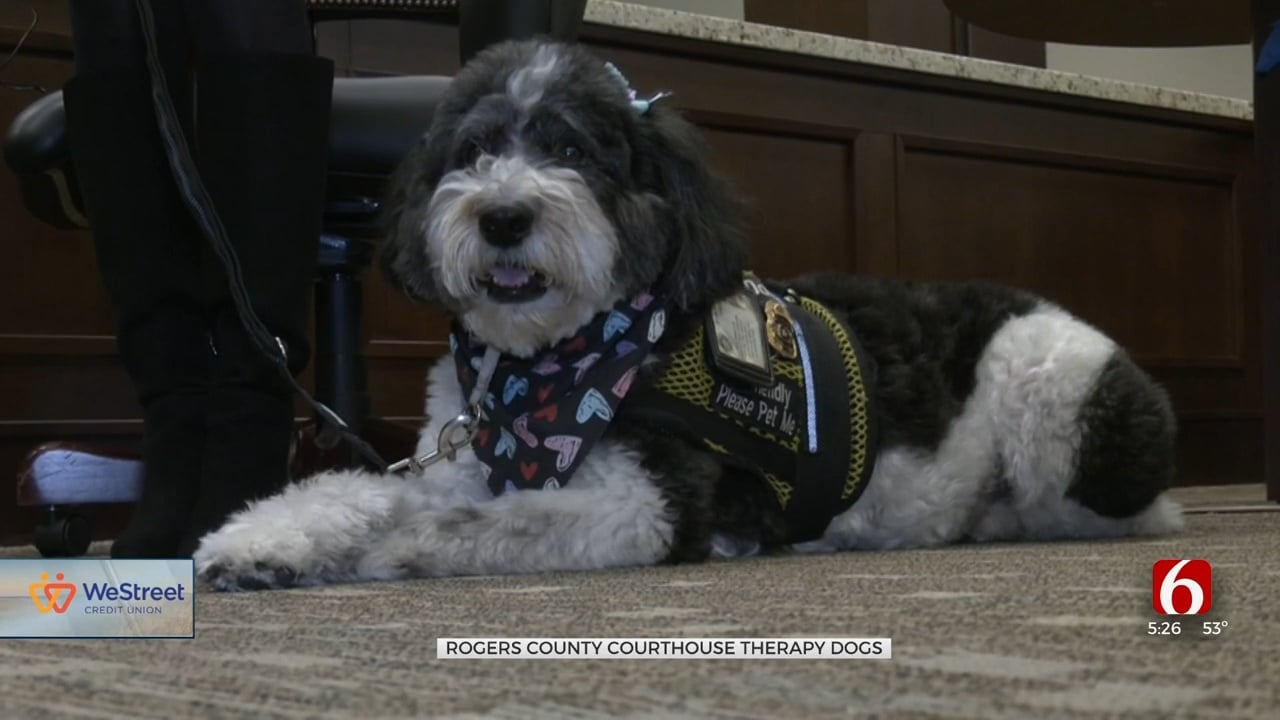 Rogers County Courthouse Therapy Dog To Retire After Providing Comfort To Witnesses For 10 Years