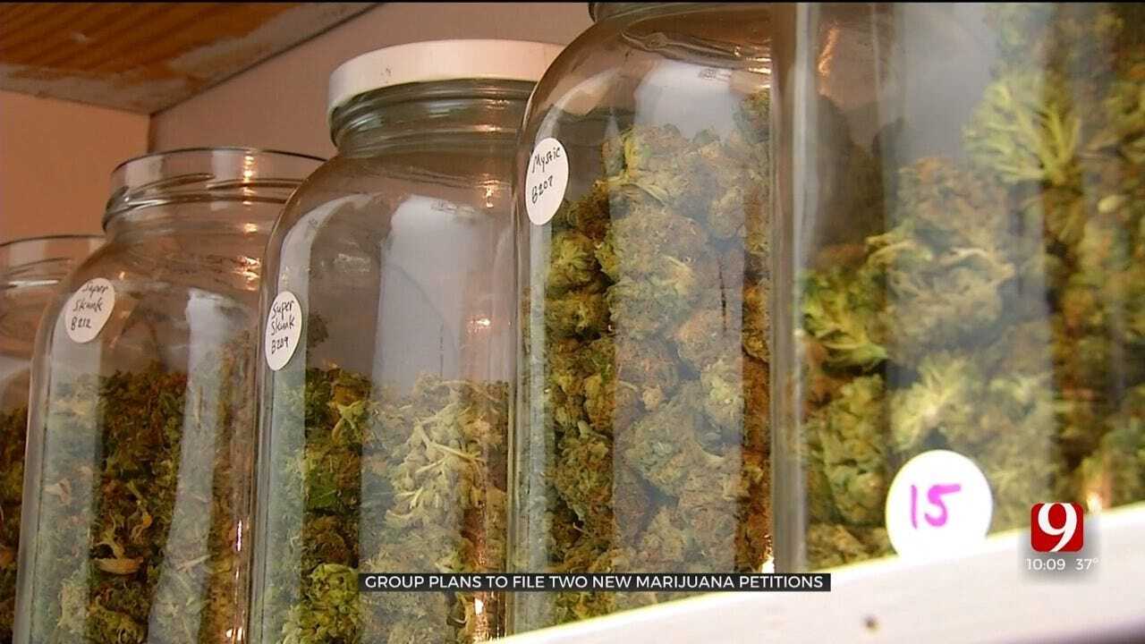 Group Plans To File 2 New Marijuana Petitions