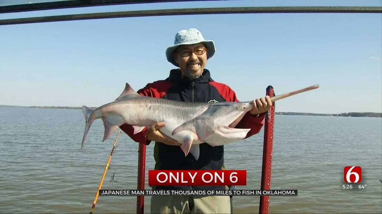 Japanese Man Travels Thousands Of Miles To Snag Oklahoma Spoonbill