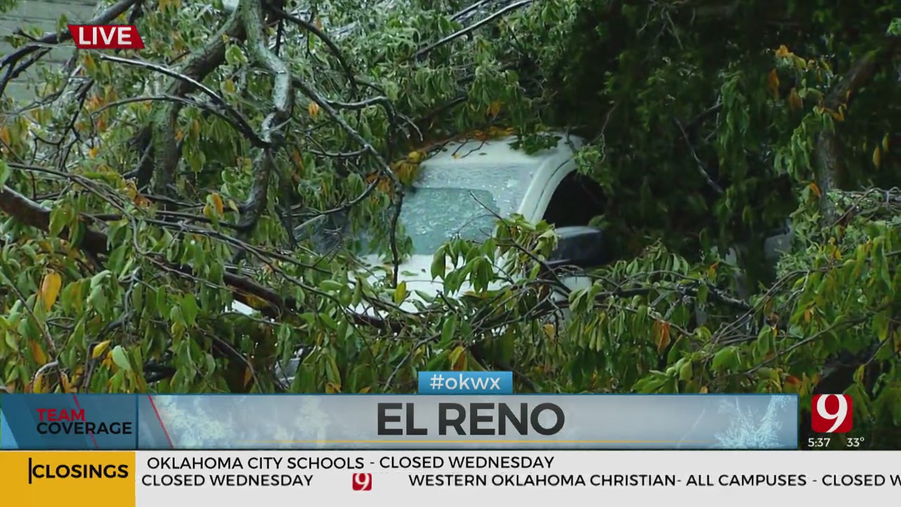 Ice Storm Causes Downed Trees On El Reno Homes, Vehicles