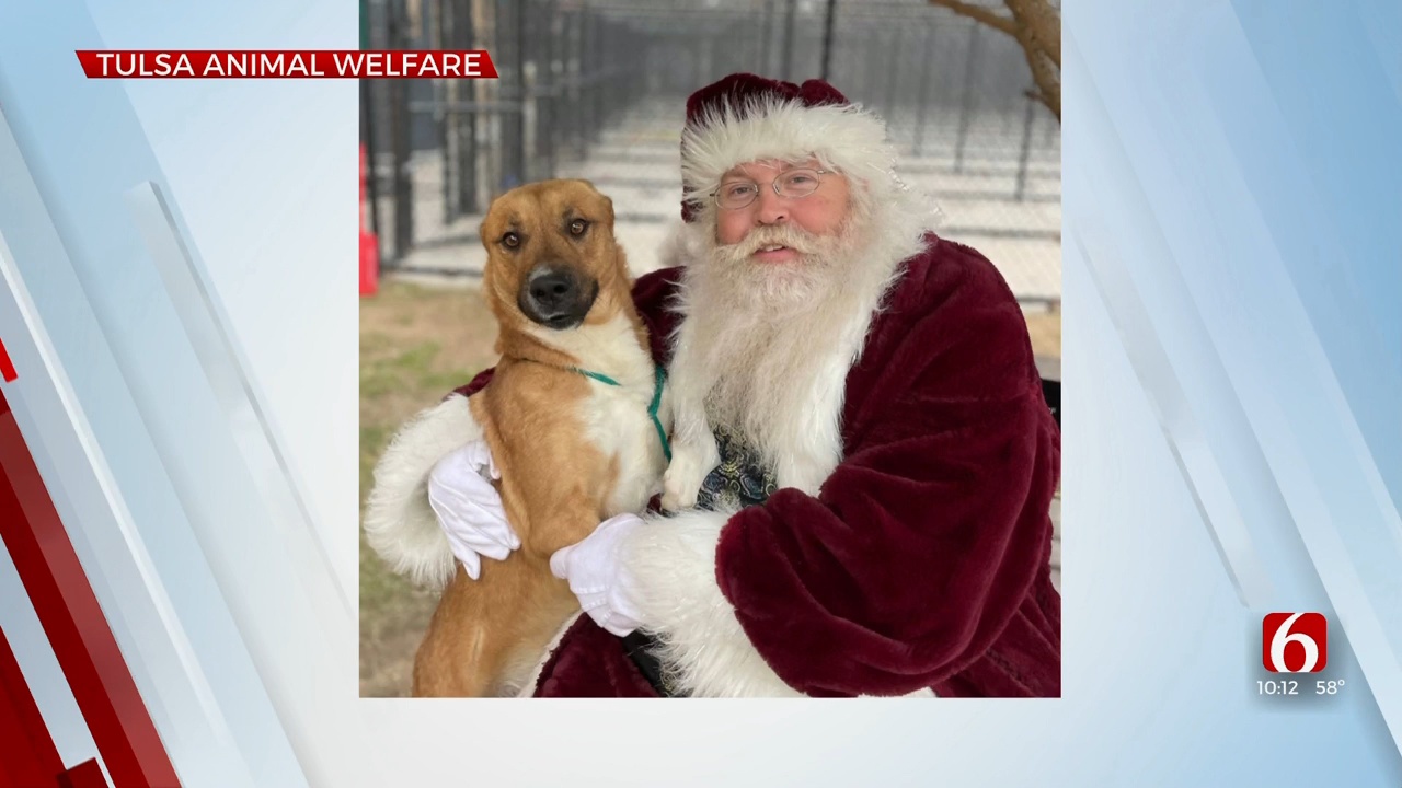 Tulsa Animal Shelter Running 'Home For The Paw-lidays' Event