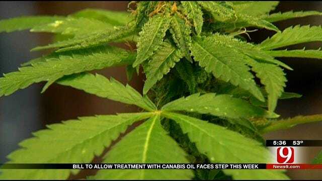 Bill To Allow Treatment With Cannabis Oil Faces Crucial Step