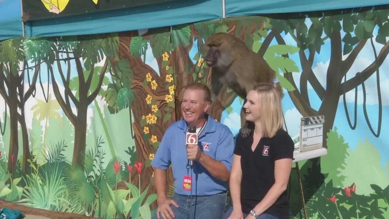 Travis Meyer, Stacia Knight Make Friends With Baboon At Tulsa State Fair