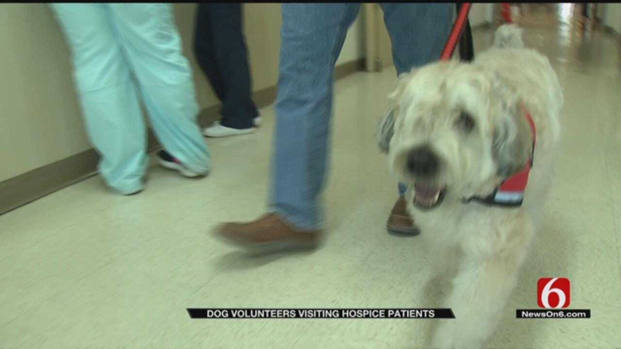 Tulsa Nursing Home Residents Get Special Visit From Therapy Dog