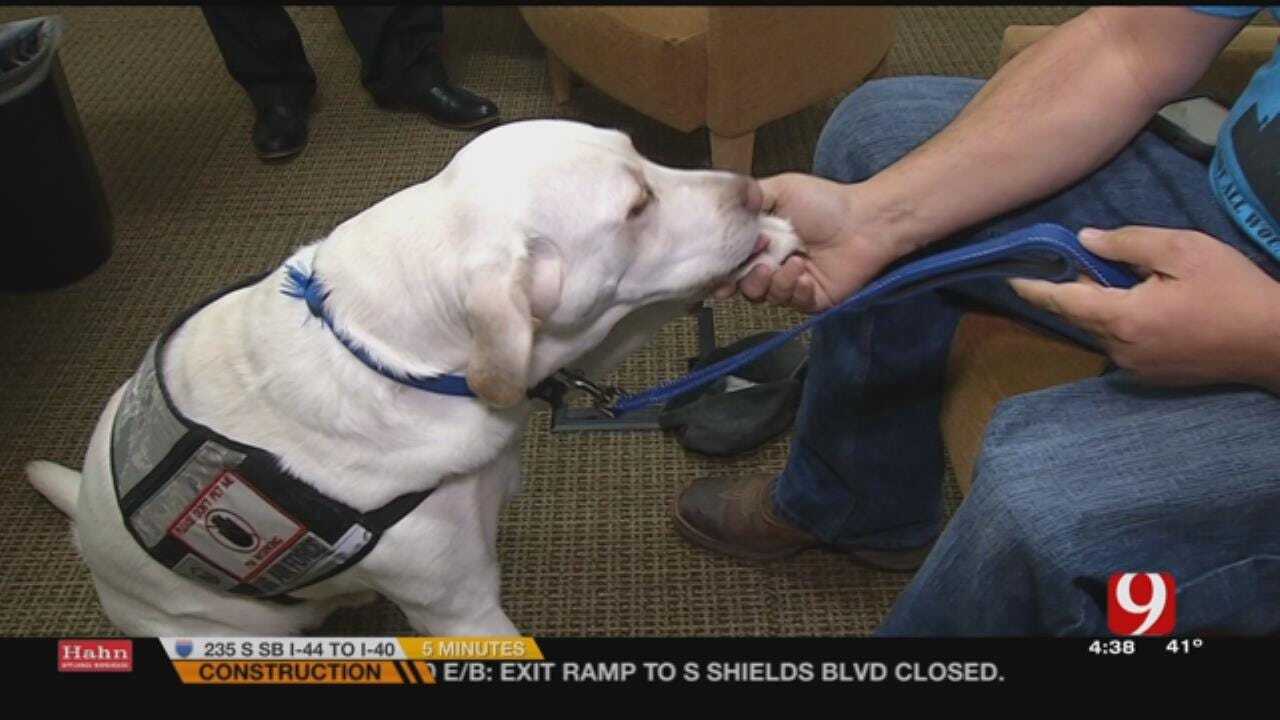 Veteran Receives Service Dog Through Donation From AAA