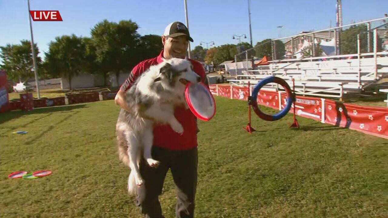 All-Star Stunt Dog Show Returns To The Tulsa State Fair