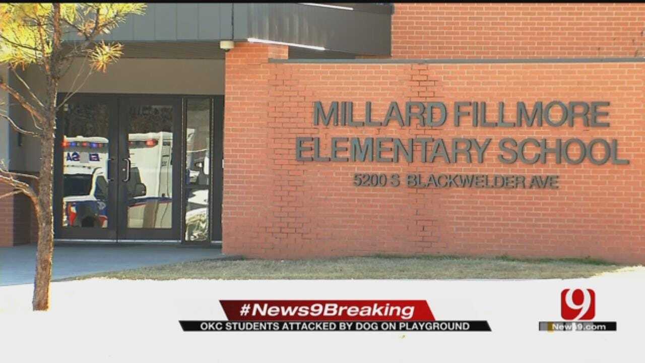 Dog Involved In Fillmore Elementary Incident Euthanized