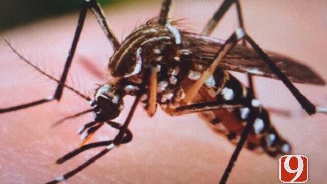 WEB EXTRA: What Is The ZIka Virus?