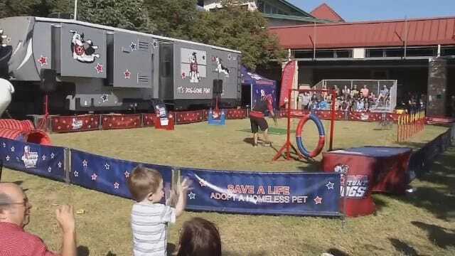 WEB EXTRA: Travis Learns About The Stunt Dog Challenge At The Tulsa Stat Fair