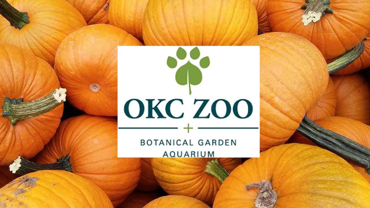OKC Zoo Trading Tickets For Pumpkins