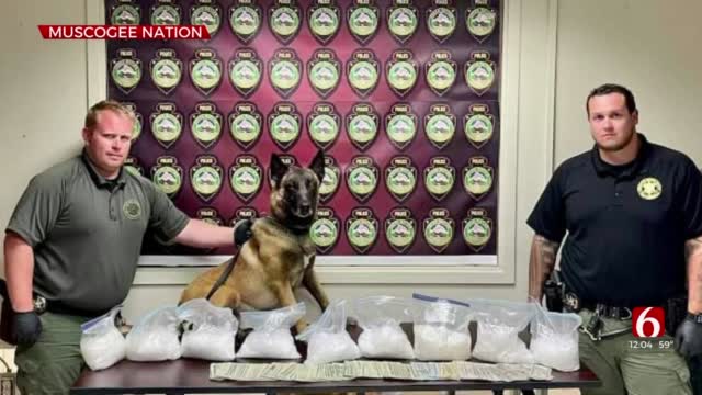 Muscogee Nation: New Lighthorse Police K9 Seizes Over 20 Lbs Of Meth 