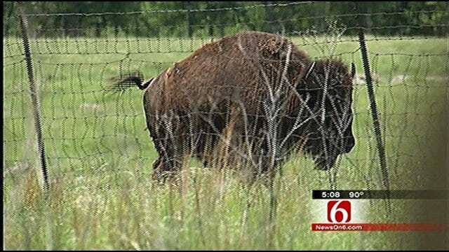 Exotic Animal Park Still Closed After Pawnee County Ammonia Leak