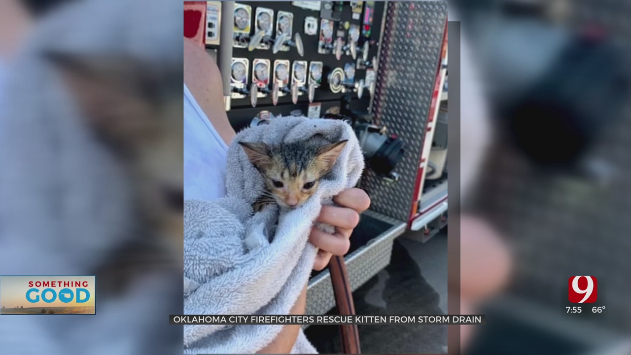 OKC Firefighters Rescue Kitten From Storm Drain