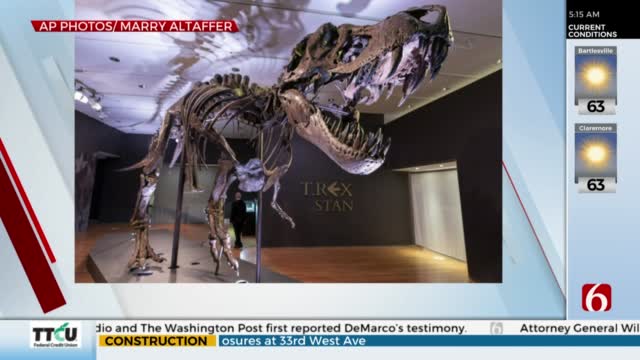Watch: Stan The T-Rex Heads To The Auction Block