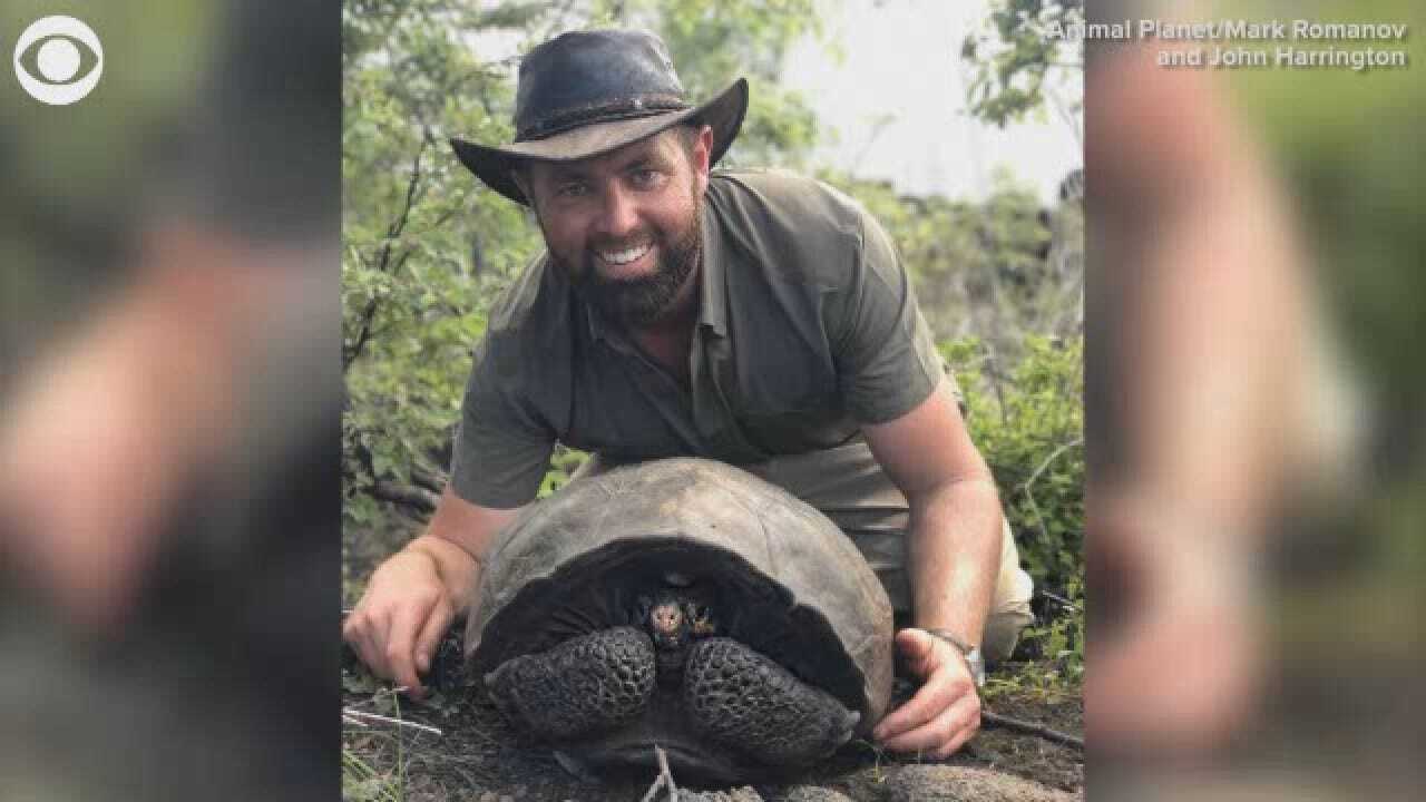 Giant Tortoise Thought To Be Extinct Found